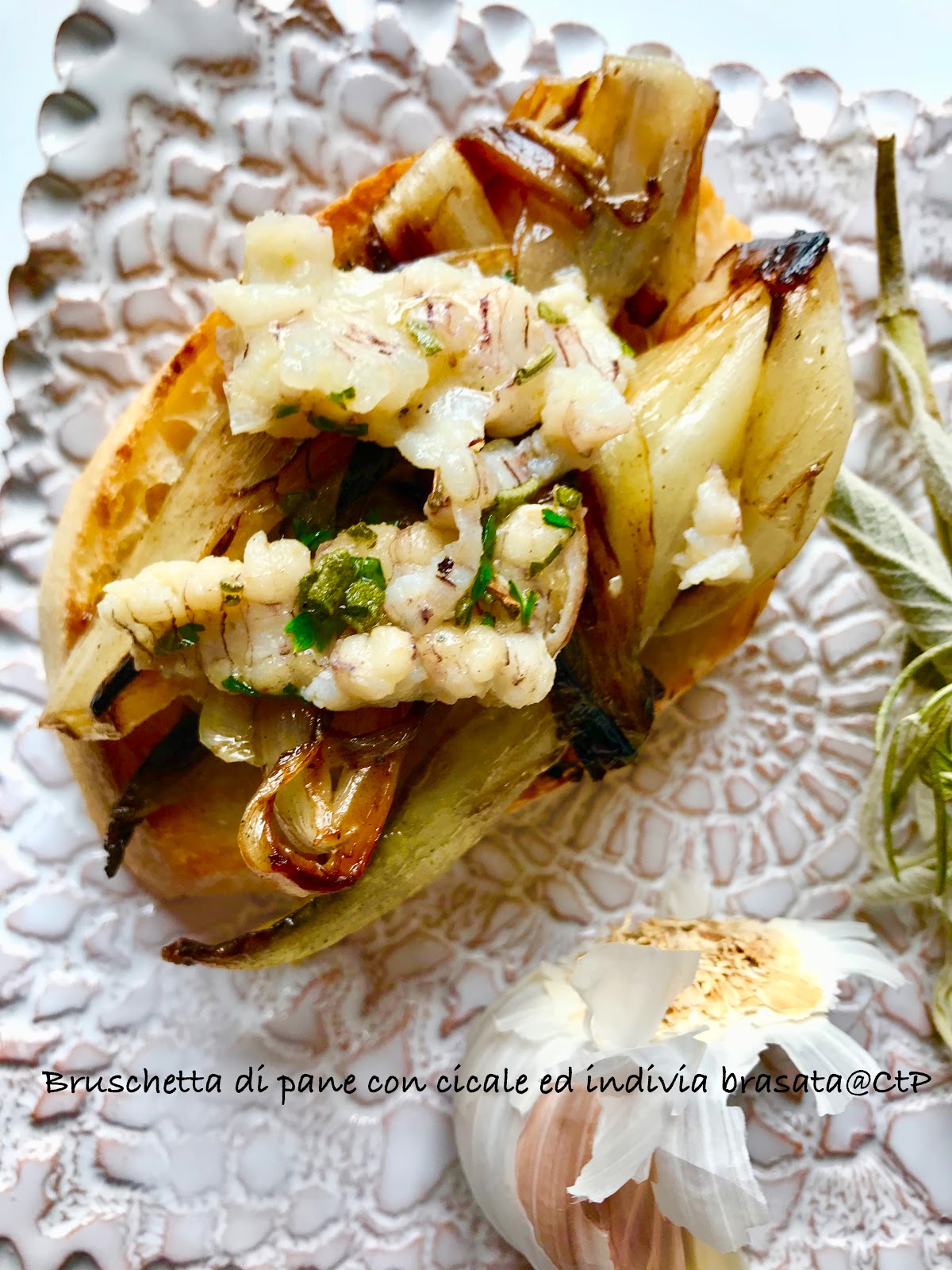 Bruschetta di pane con cicale ed indivia brasata alessandra ruggeri Bruschetta di pane con cicale ed indivia brasata alessandra ruggeri