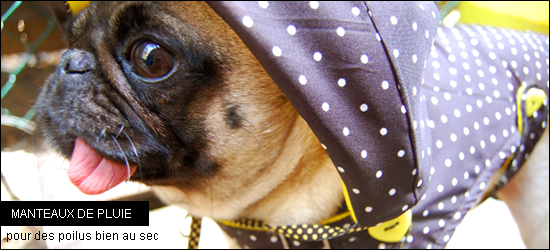 Manteaux de pluie et imperm?�ables pour chiens - Woof mag' - le blog des chiens heureux