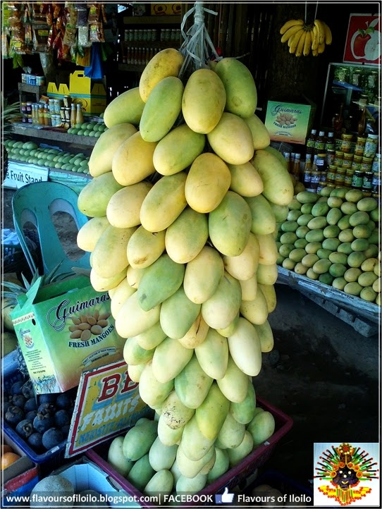 Travelers guide to Guimaras Island