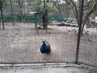 jubilee park santuary