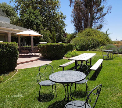 A Garden behind the Summerwood Tasting Room, June 17, 2014, © B. Radisavljevic