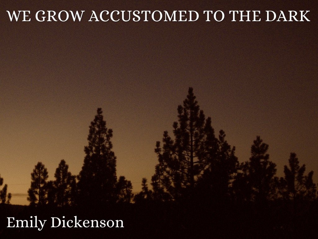 Proyect We Grow Accustomed to the Dark by Valeria Vázquez