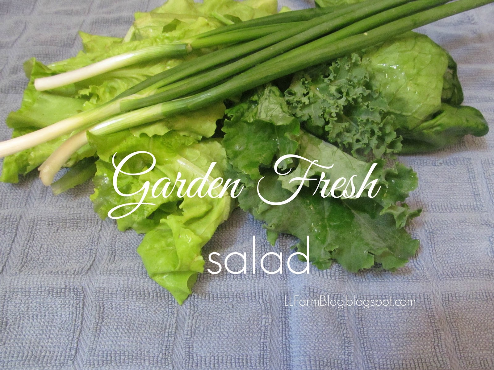 LL Farm Garden Fresh Salad With Garlic Lemon Dressing