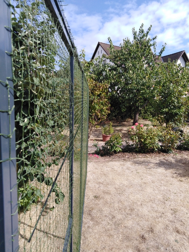 Katzennetz Nrw Die Adresse Fur Ein Katzennetz Katzennetz System