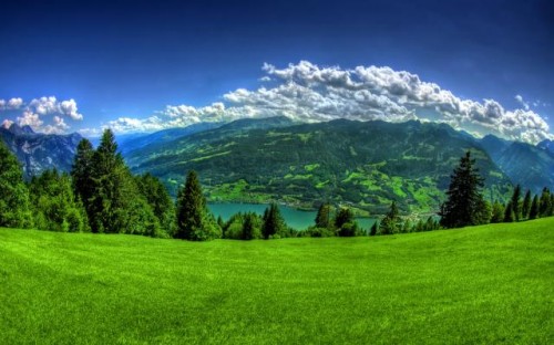 wallpaper zh: nature wallpaper hd