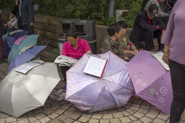 čína, china, šanghaj, shanghai, nanjing road, people park, náměstí lidu čína, china, šanghaj, shanghai, nanjing road, people park, náměstí lidu