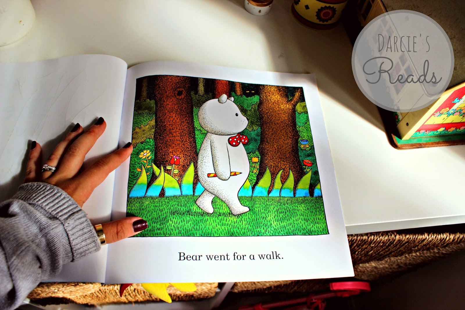 Anthony Browns Little Bear Book
