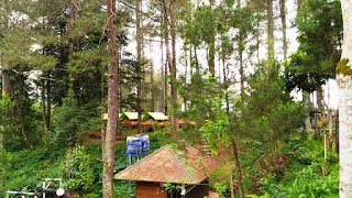 Perkemahan glamping di Cikole Jayagiri Resort.