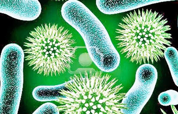 Ciri-Ciri Archaebacteria dan Eubacteria Serta Peran,Kegunaan,dan Manfaat Bagi Kehidupan Ciri-Ciri Archaebacteria dan Eubacteria Serta Peran,Kegunaan,dan Manfaat Bagi Kehidupan