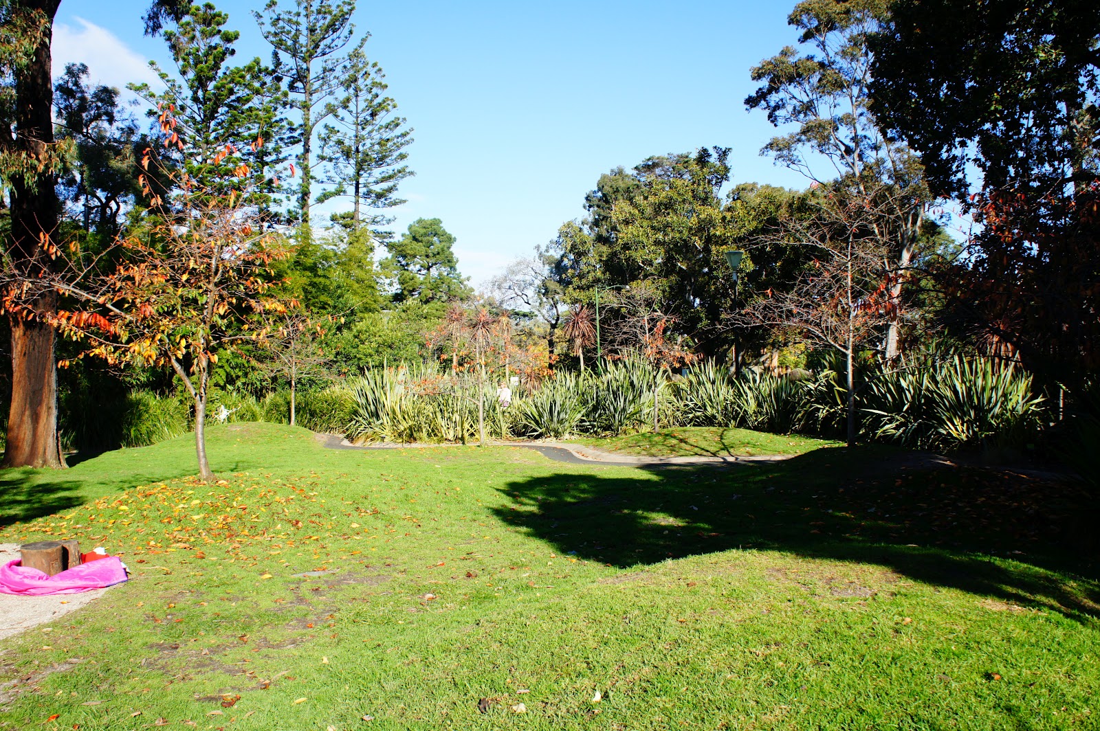Ramiel Plantae The Ian Potter Foundation Children’s Garden