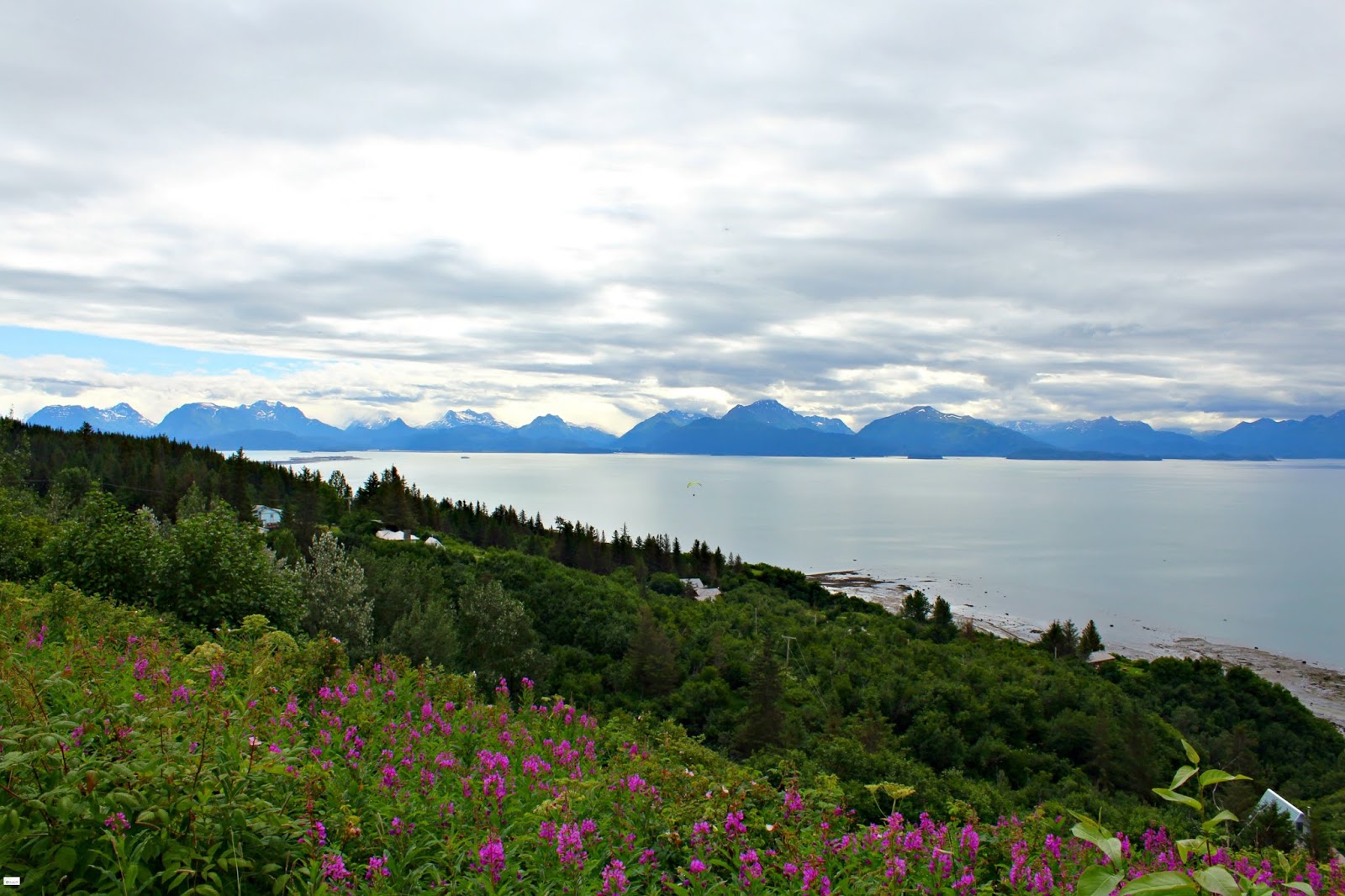 A Brief History of Homer // Alaska Caravan