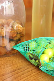 recette alcool aux prunes vertes maesilju