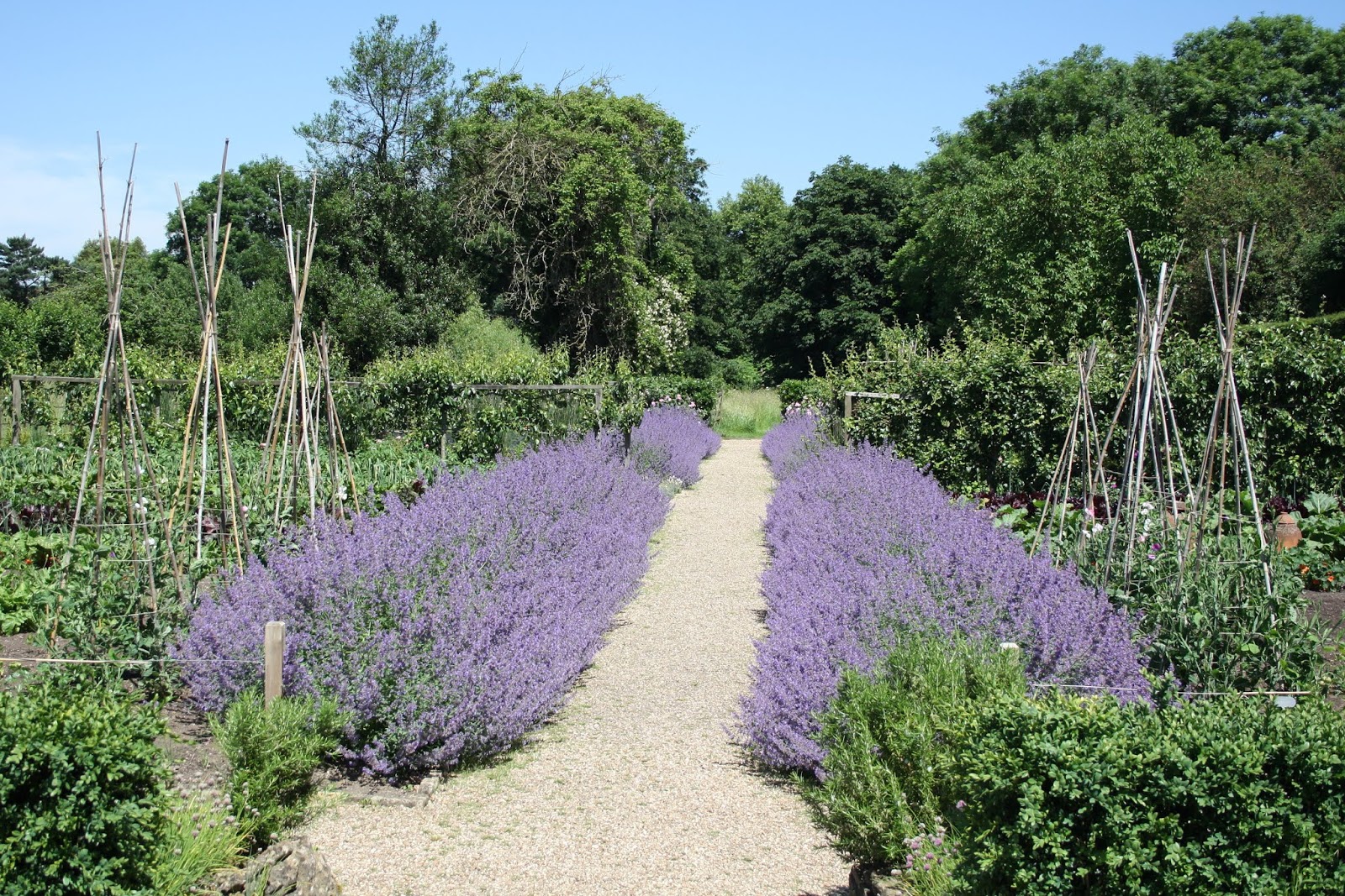 Views from Somerset Tintinhull Garden, near Yeovil, in South Somerset.