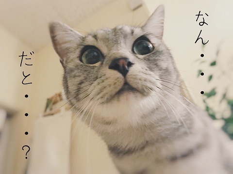 ガーン