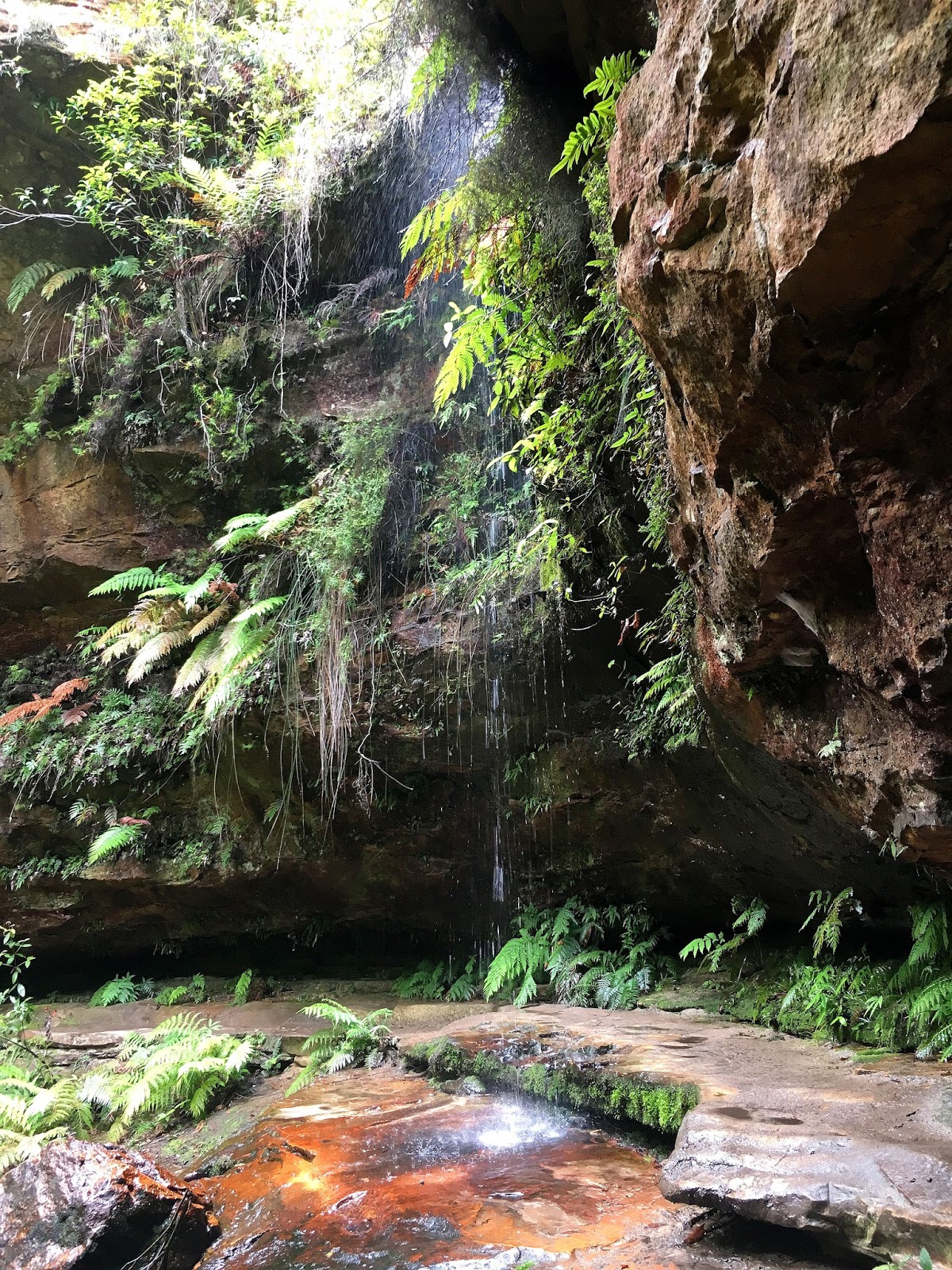 Hiking solo the Grand Canyon in Australia's Blue Mountains has been one of the greatest adventures. With breathtaking views and endless stairs, come and find out more!
