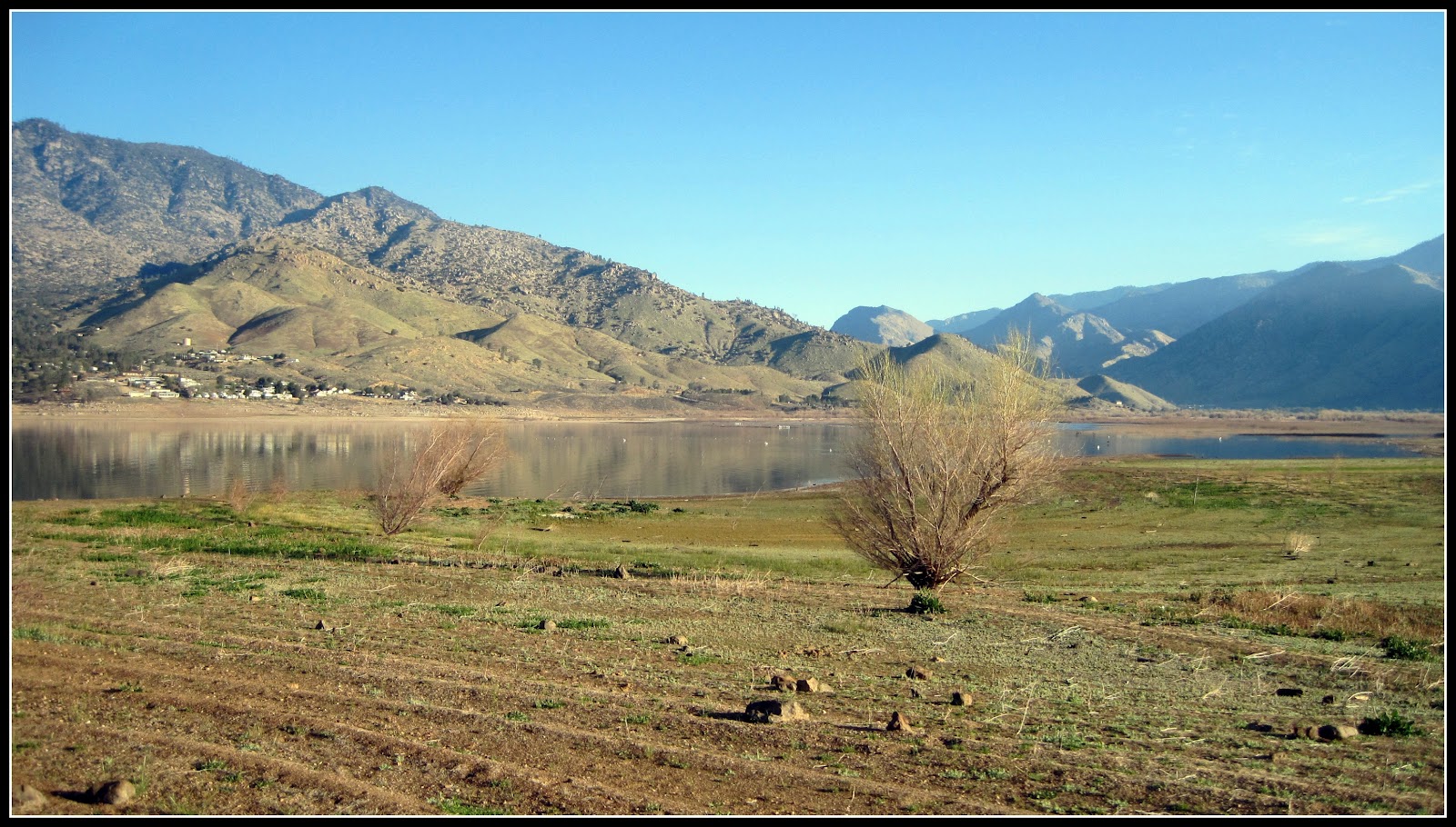 Three BCs and.. Lake Isabella Trout Derby