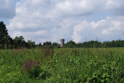 Eine Wiese, im Hintergrund ein Turm, der aussieht, als gehöre er zu einer Burg. Im Vordergrund stehen lilafarbene Disteln