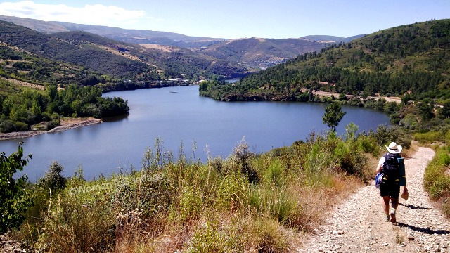 camino-de-santiago-de-invierno-puesta-de-sol-womantosantiago