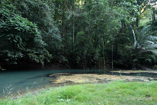 gua mimpi bantimurung maros