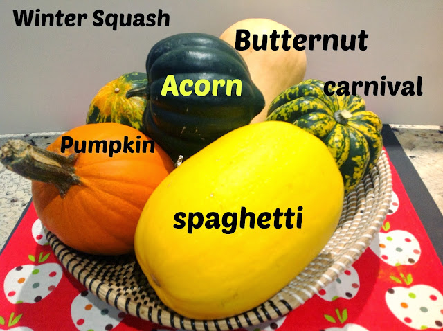 butternut, acorn, pumpkin, and spaghetti squash