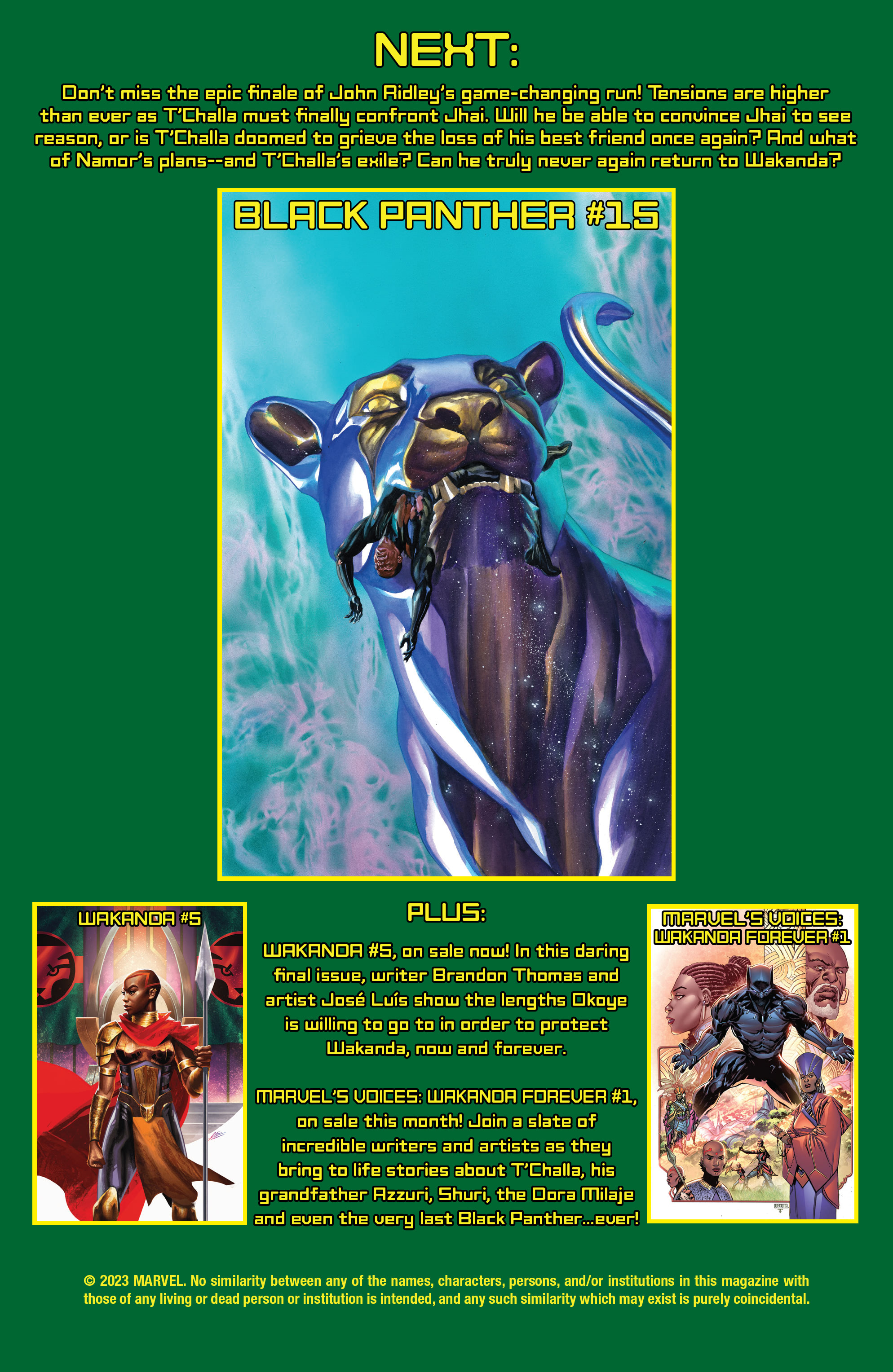 Read online Black Panther (2021) comic -  Issue #14 - 23