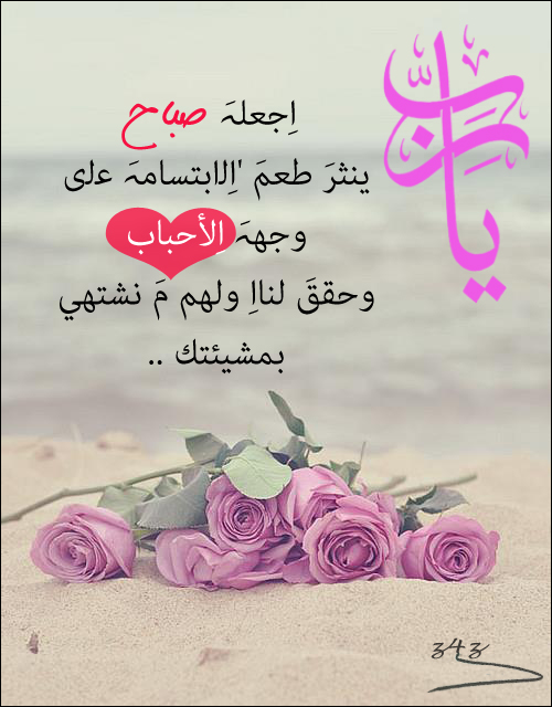 ������ ���� ������ �� ���� ������