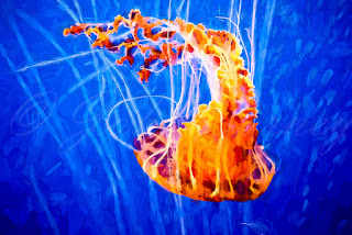 Impasto jellyfish