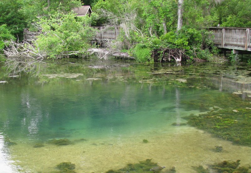 Wandering His Wonders Our Wild Life at Magnolia Springs State Park