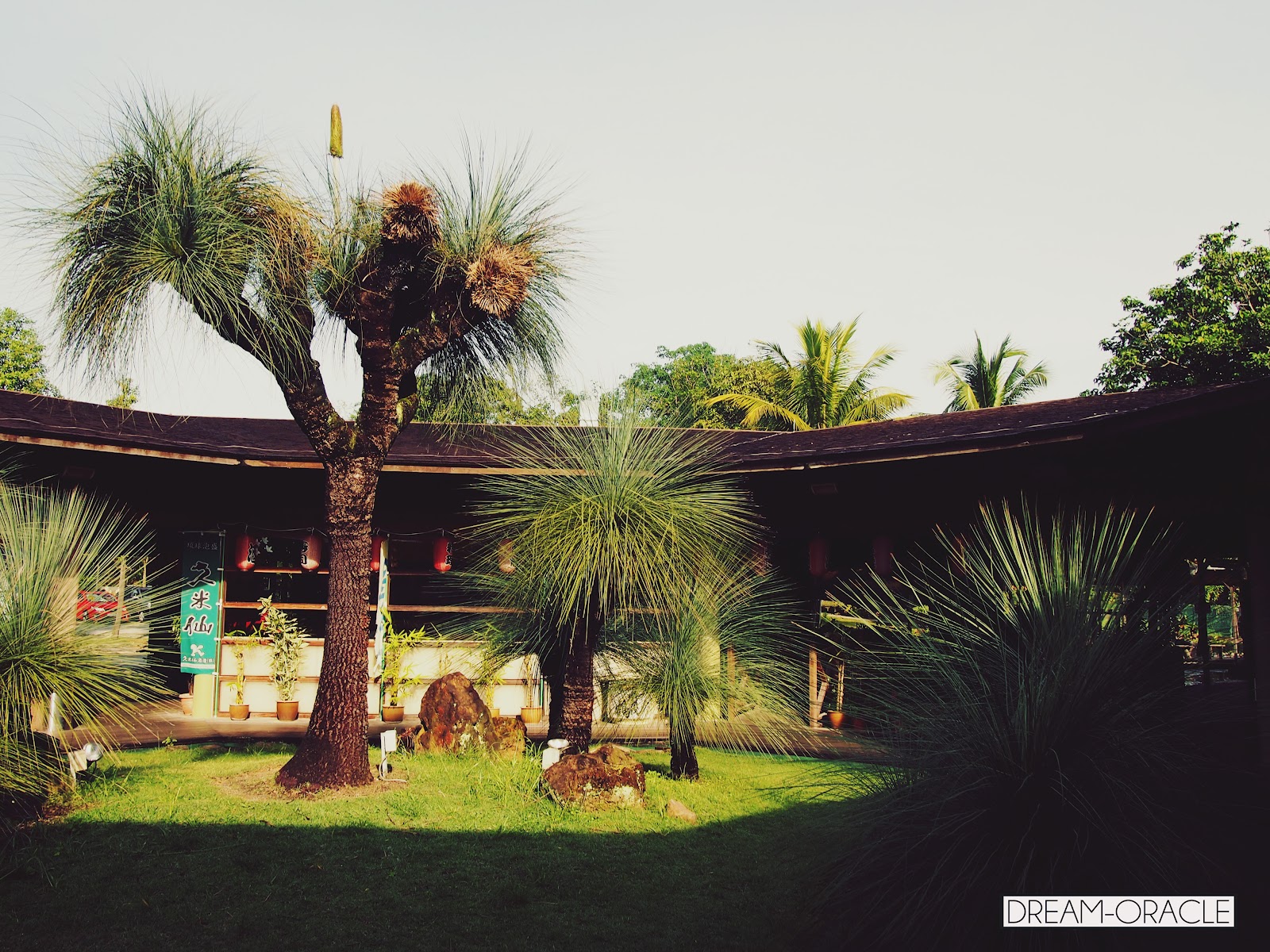 Dare to dream,Live the dream