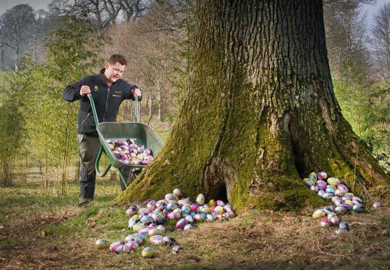 Hiding Easter Eggs under a tree