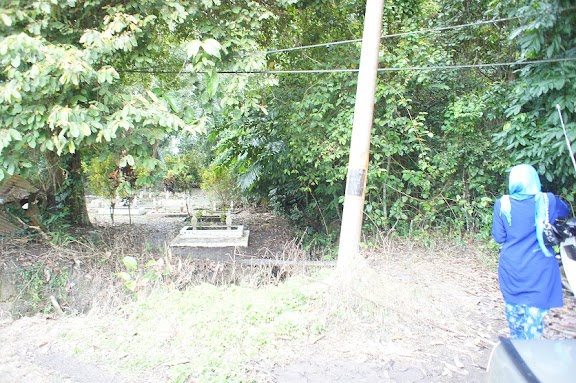 Life, In My Own Backyard