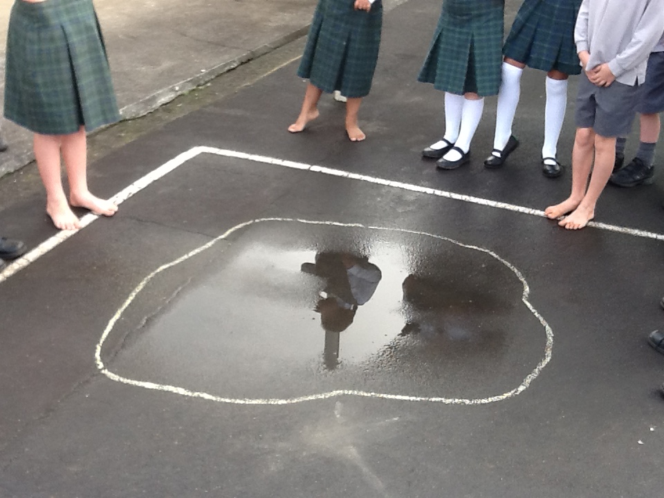 Room 7 St Joseph's Catholic School Pukekohe Evaporation Experiments