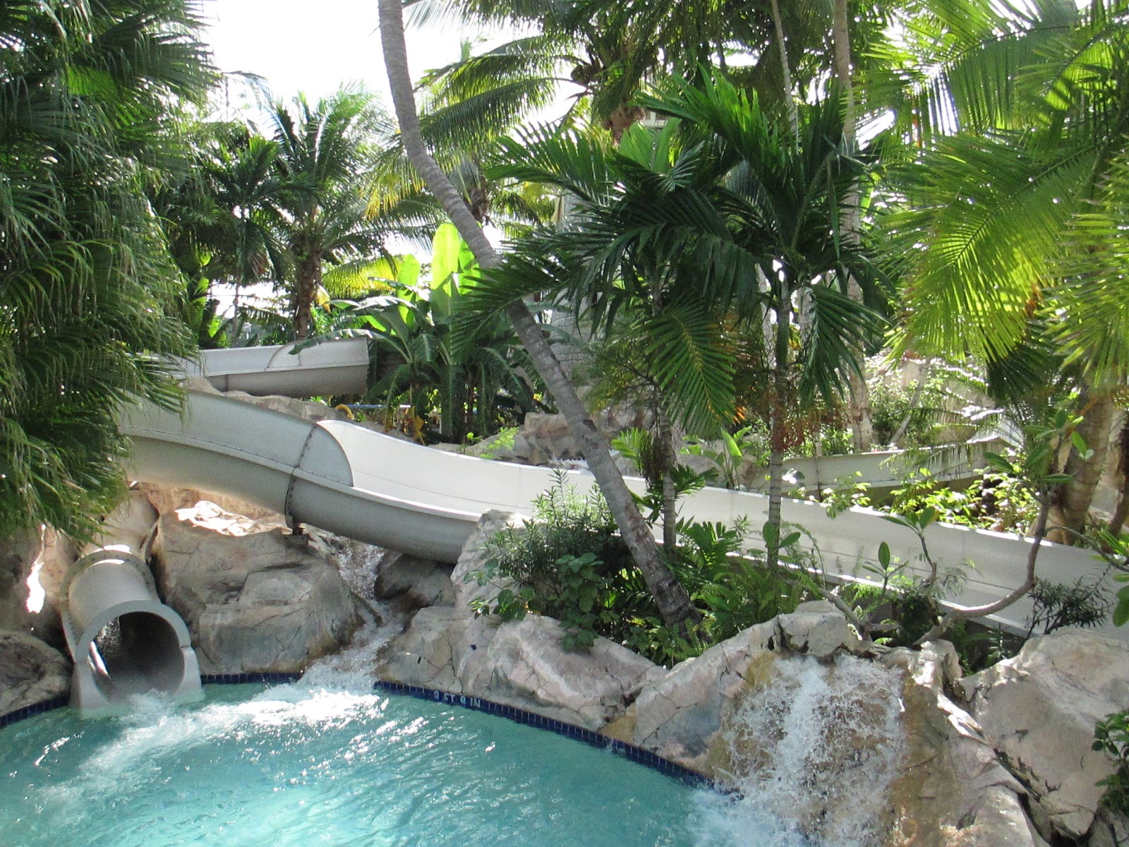 Travel Reviews & Information Jamaica / Hilton Rose Hall Resort and Spa