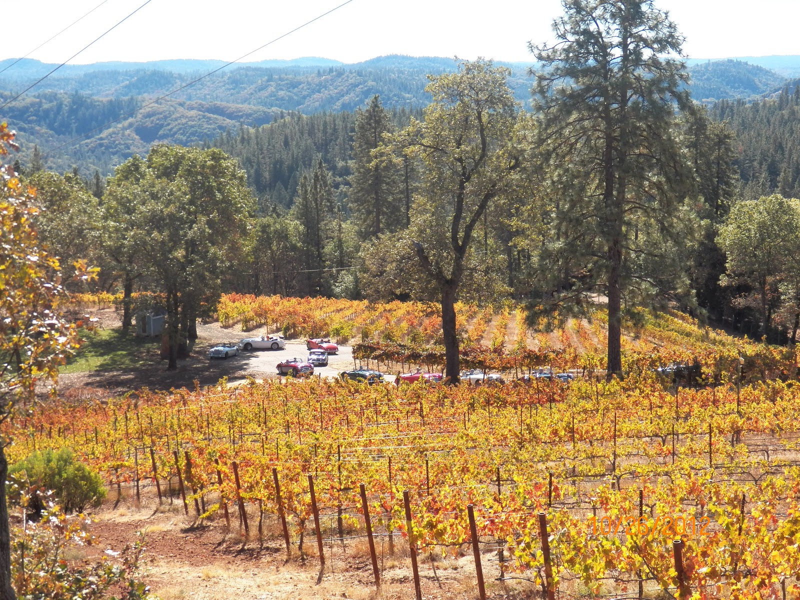 Sierra Foothills Wineries: Fall Colors Lure Visitors to ...