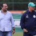 Palmeiras pode liberar meio-campo para o Bahia