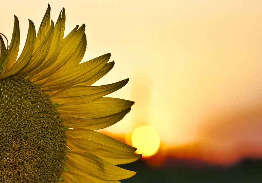 Claudia E Il Suo Blog Parole Di Claudia Amare In Silenzio E Possibile