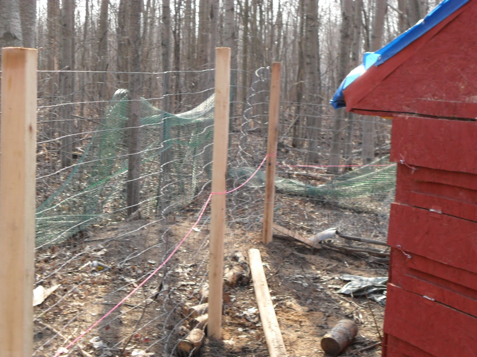 A Beginning Homestead New Chicken Run Fence