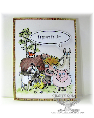 CraftyColonel Donna Nuce for Cards in Envy challenge blog, birthday, Stampin'Up