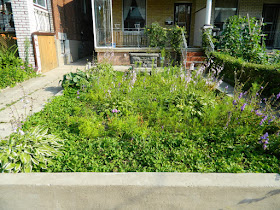 Garden clean up Bloordale before Paul Jung Gardening Services Toronto