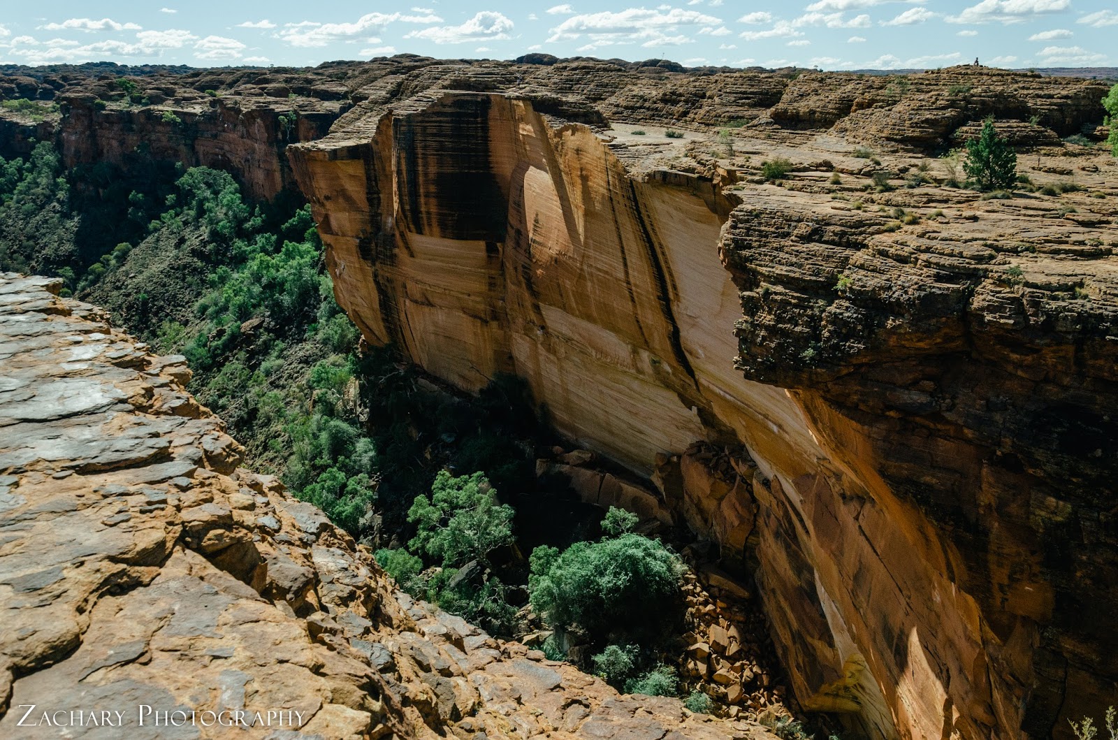 Zachary's Working Holiday in Australia Day