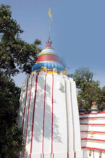 Goddess Olasuni, Olasuni Temple, Jajpur Temples, Odisha Temples