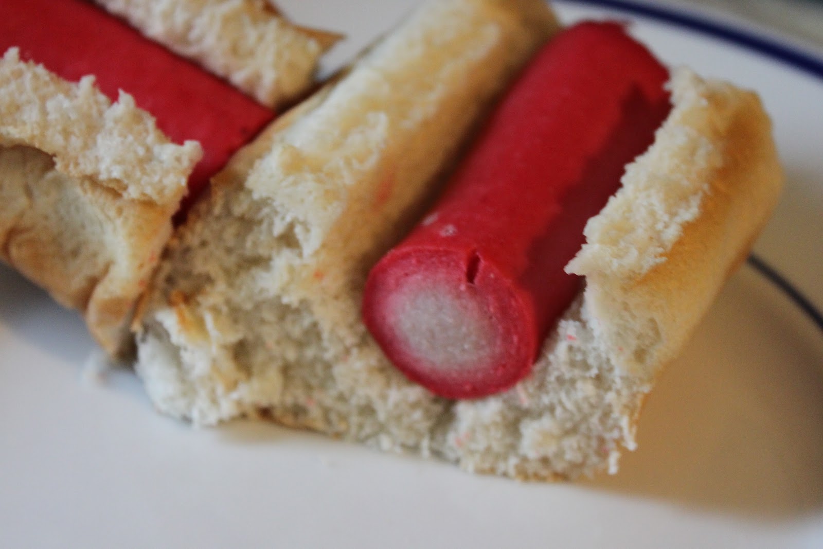 Susan's Disney Family Happy Hot Dog Month! Make sure to enjoy some Petit Jean hot dogs this month.