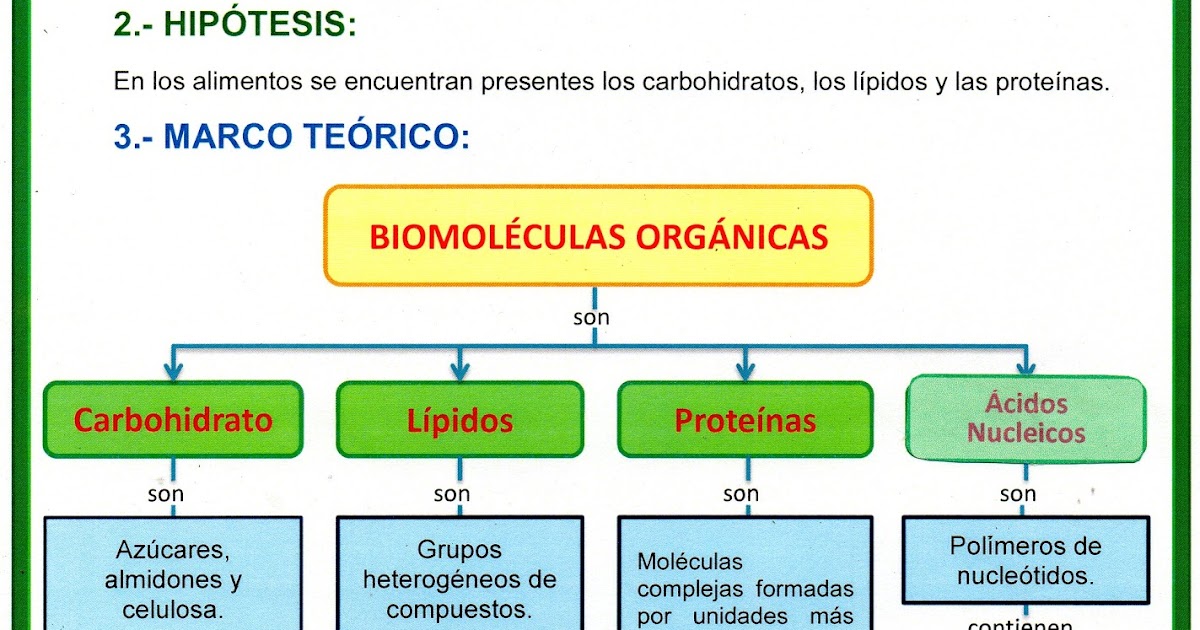 STUDY CIENCIAS BIOMOLÉCULAS ORGÁNICAS