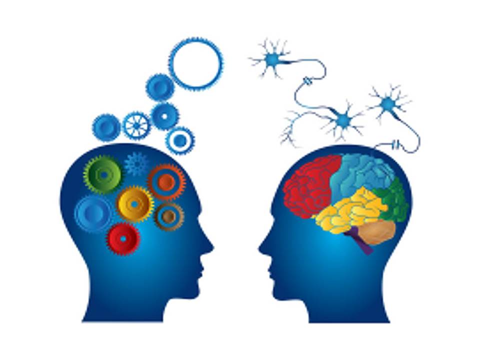 10 Ciencias Auxiliares De La Filosofia