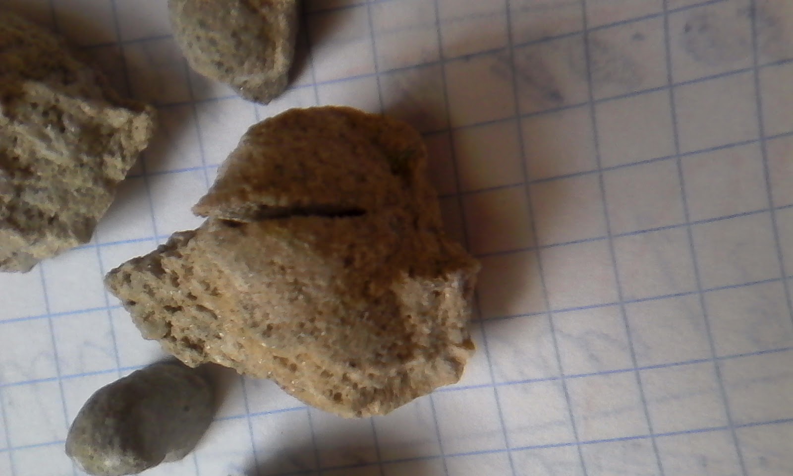 MOJE SKAMIELINY: gąbka