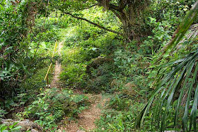 path, gusuku, trail