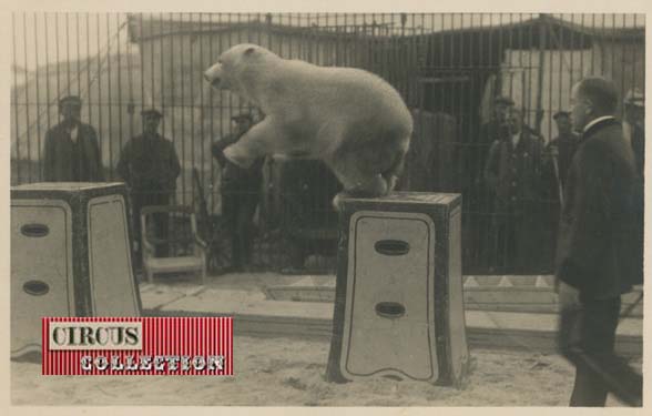 carte postale ancienne avec un dresseur d'ours blanc et un dresseur 