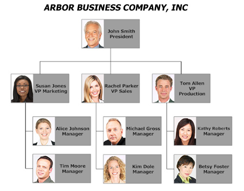 organizational tree template