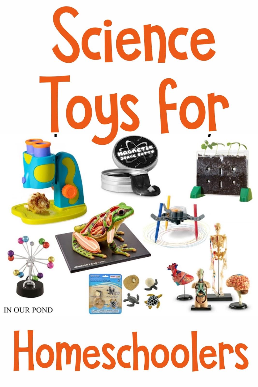 Science Toys that Spark Curiosity
