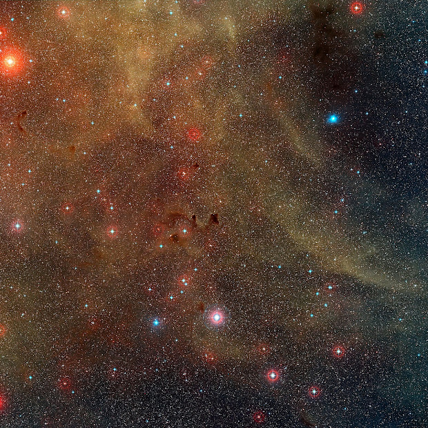 Star-Forming Region around HH 46/47